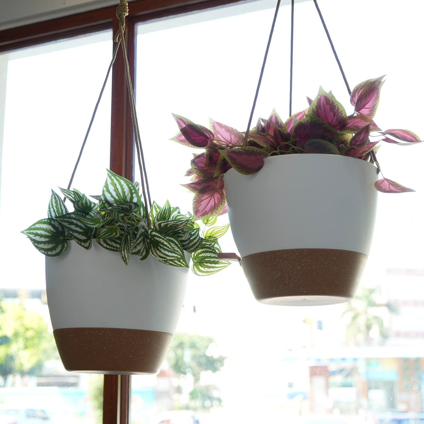 SwinDuck 8 inch Hanging Planters, 2 Pack Self Watering Hanging Pots with 20oZ Deep Reservoir for Indoor Outdoor Plants Flowers, White with Brown
