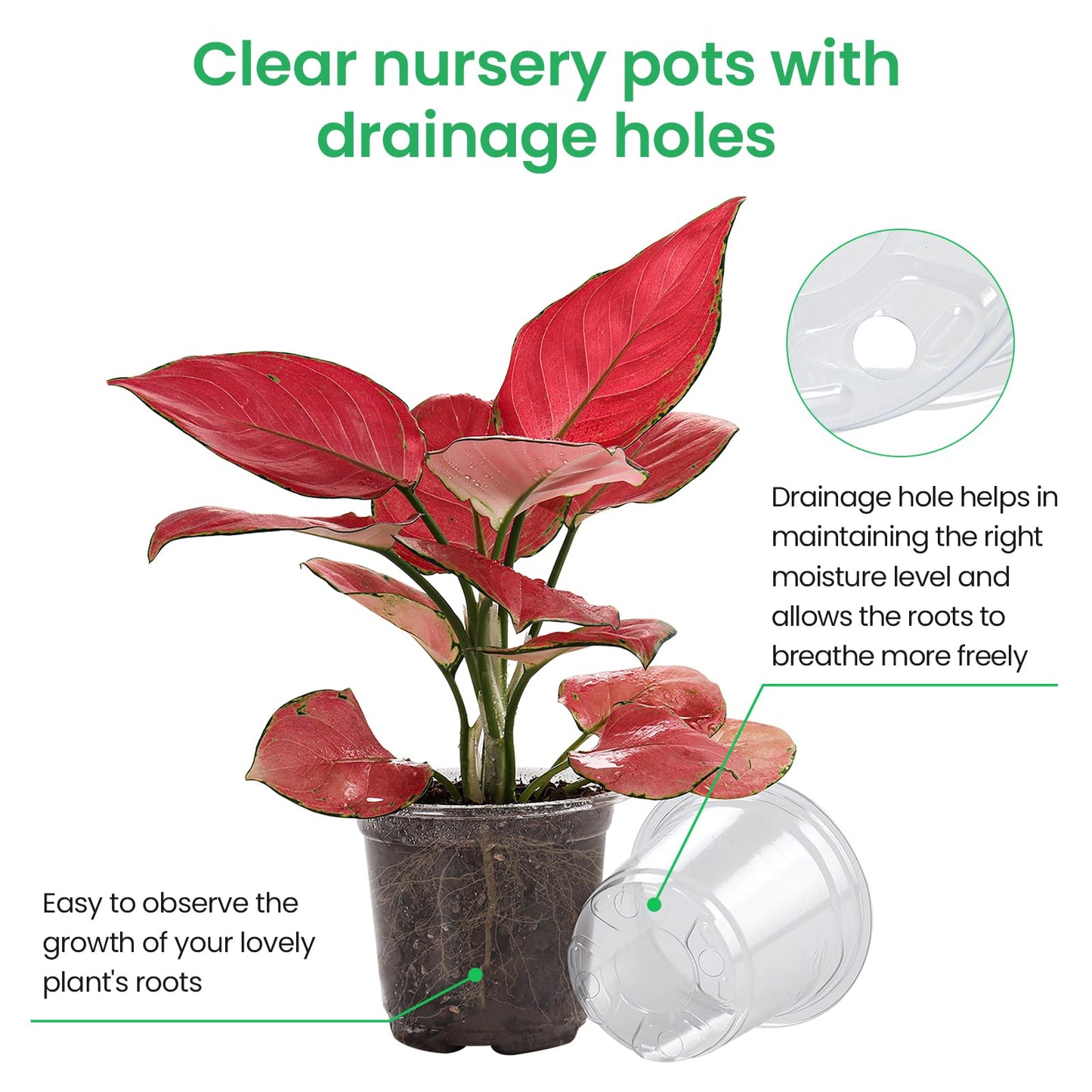 Bluepro 36 Packs 7/5/4/3.5 Inch Reinforced Clear Nursery Pots with Drainage Hole, Transparent Variety Pack Plastic Plant Pot Seedling Planter for Vegetable Propagation, Root Cutting, Seed Starting