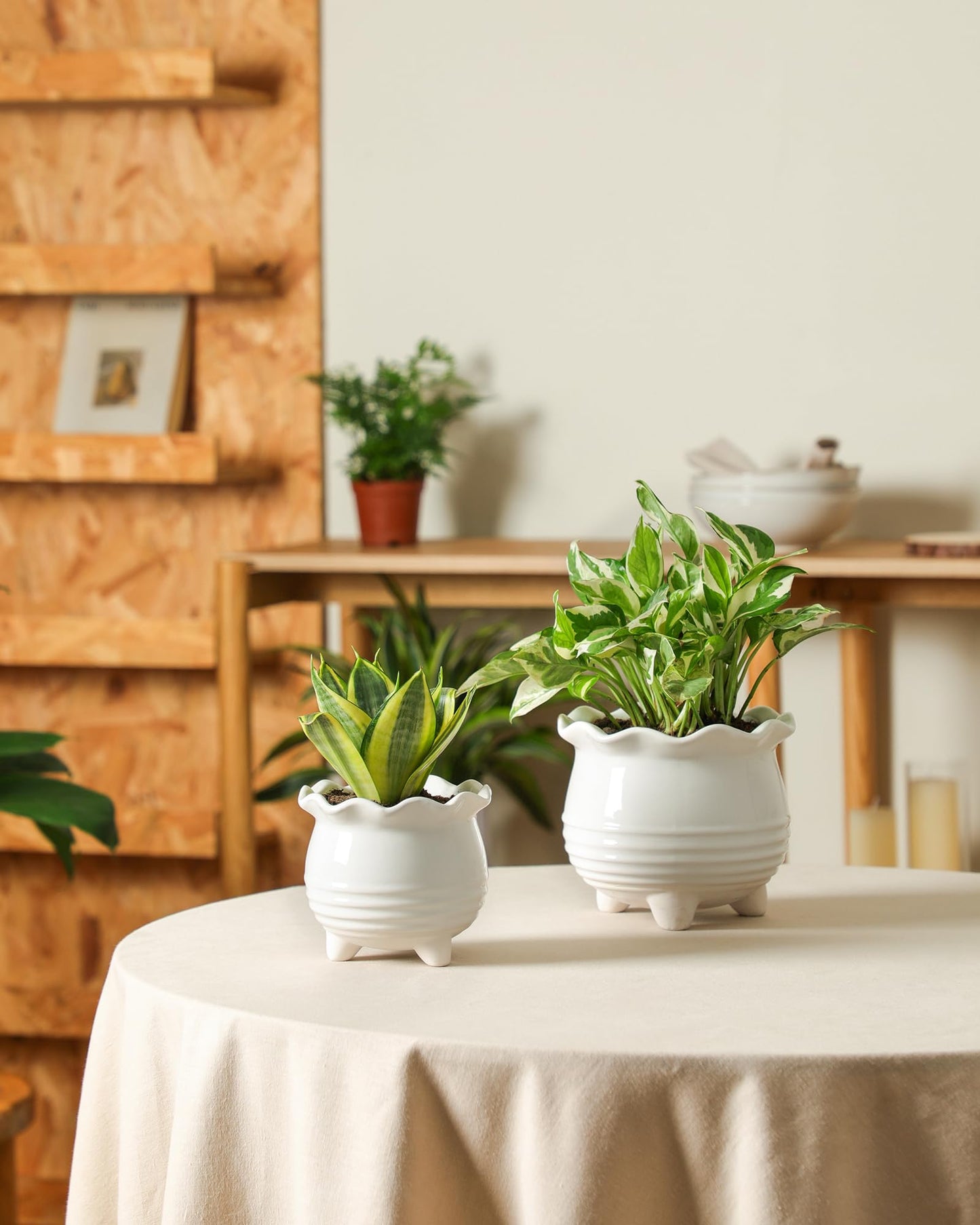Fayoula Ceramic Planter, 2 Piece Ceramic Planter Set with Drainage Hole for Home and Office, Indoor Plant Potting, Suitable for Succulents, Bonsai, Snake Grass and Money Tree, etc. (White)