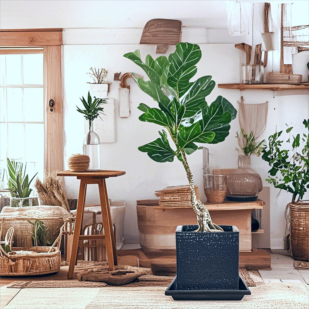 Tectsia Square Plant Saucer 10 Inch 5 Pack, Planter Trays for Flower Pots, Plant Water Catcher Drip Dishes, Plastic Bottom Watering Plates Indoors and Outdoors - Black
