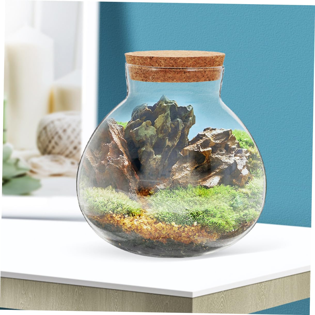 Toyvian Microlandscape Ecological Bottle Cork Stopper Round Glass Terrarium Holder for Moss Plants Decorative DIY Landscape Planter Container for Home and Office