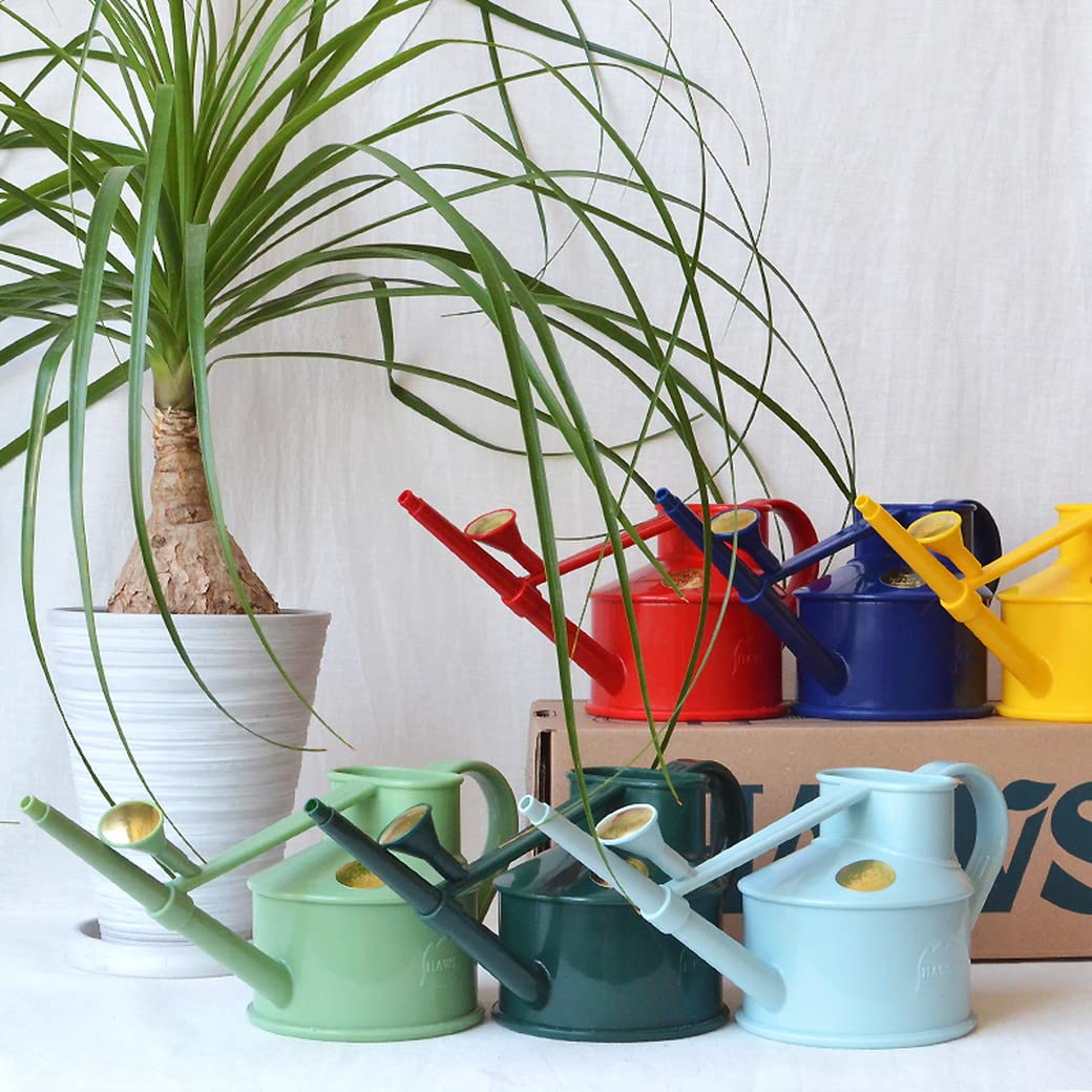 Bosmere Haws Handy Plastic Watering Can, Mini Water Can for Indoor Plants, Succulents and Flowers, Sage Green, 1 Pint