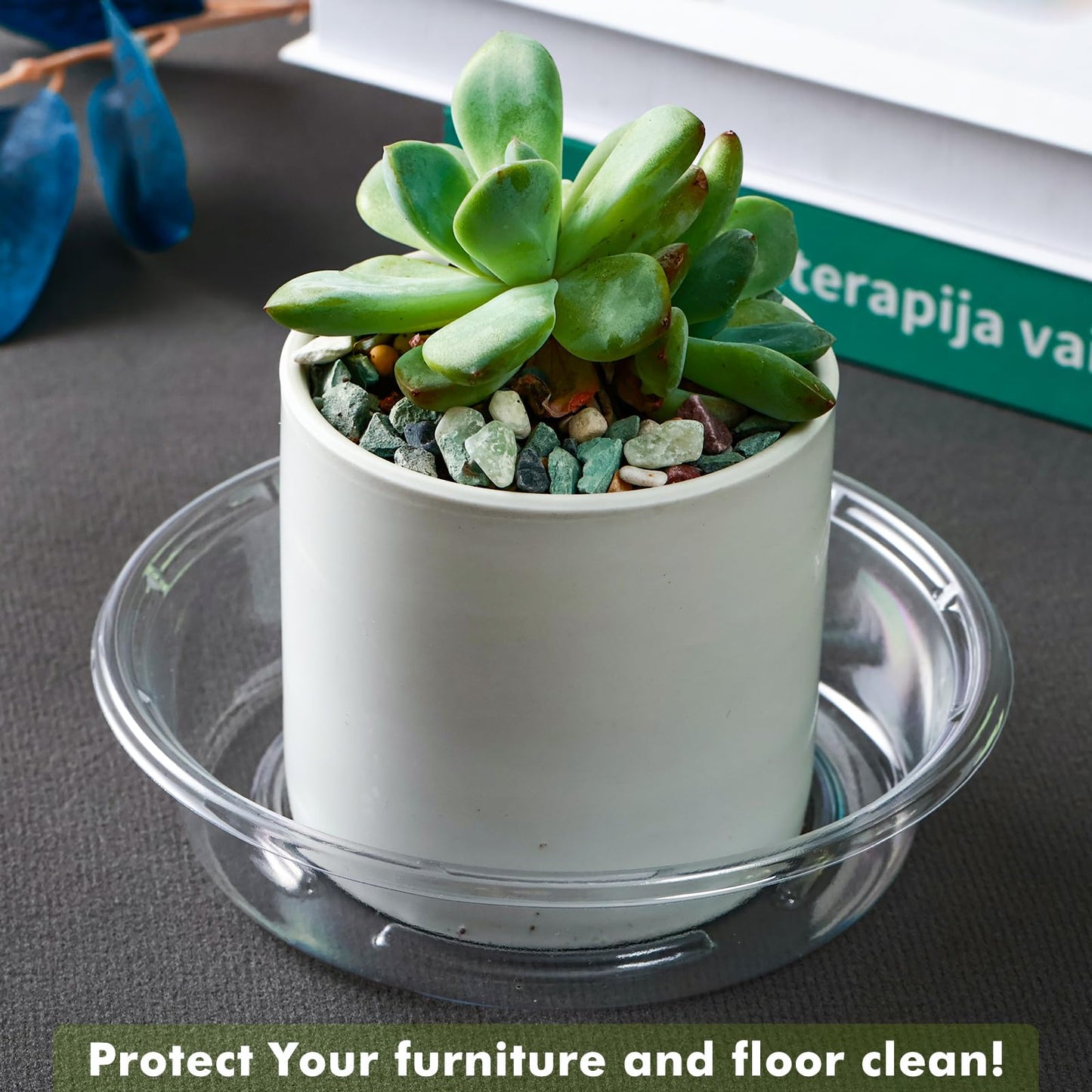 Plant Saucer 50 Pack Plant Trays for Pots 4 Inch Plastic Plant Saucers for Outdoors and Indoors Clear Drip Trays for Potted Plants Flower Pot Plates to Catch Water Plant Drainage Dishes No Holes
