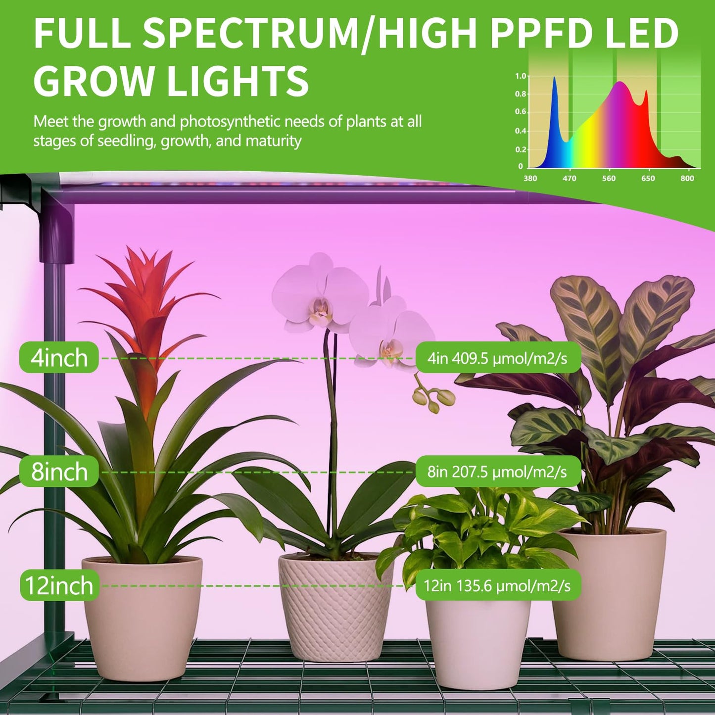 SUNYRISY Indoor Greenhouse with Grow Lights, 5 Tier Mini Small Greenhouse Kit with Zippered PVC Tent Cover for Indoor Garden Seed Starting Tray, 36W Full Spectrum with Timer