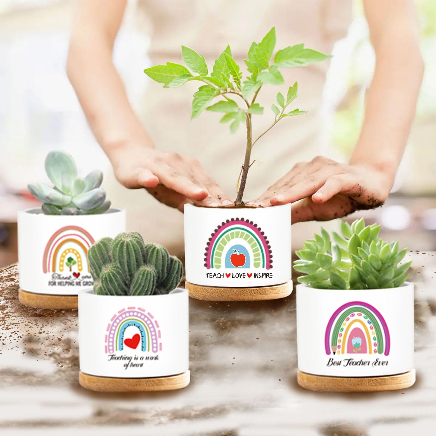 emzrivo 4 Pcs Teacher Appreciation Gifts Funny Ceramic Succulent Plant Pot Teacher Planter Pot Thank You Gifts for Coworker Teacher Valentines Birthday Gift, Plants Not Included