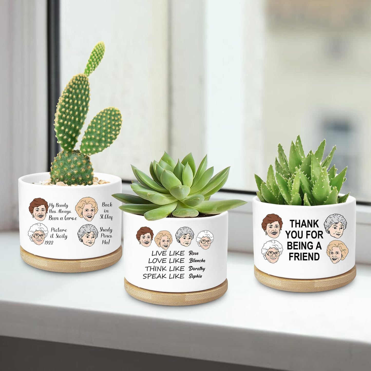 Golden Girls Planter, Golden Girls Merchandise, Friend Gifts for Women, Funny Succulent Planter, Flower Cactus Plant Pot, Friendship Gifts for Friends Bestie Sister Birthday (Plant Not Included)