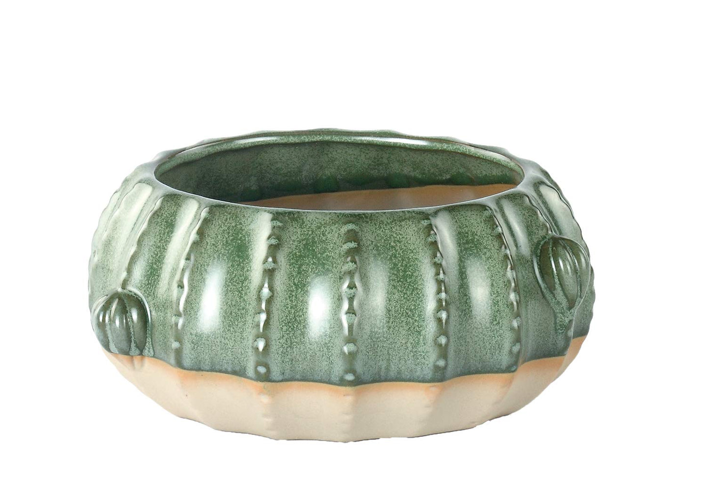 Napco Stoneware Textured Cactus Dish Garden Planter, 3.25 x 5.5-Inches, Green & Cream