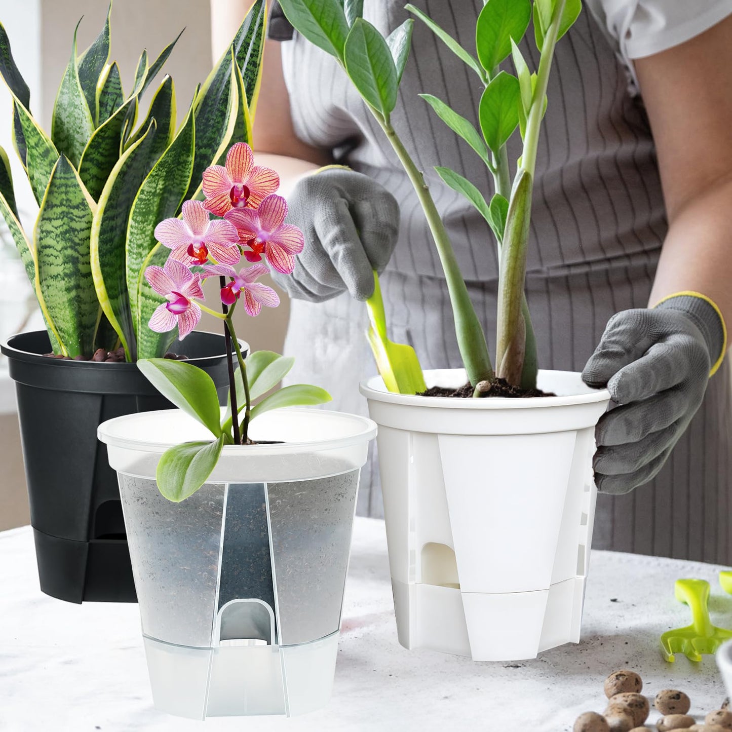 IWNTWY Plant Pots 6 inch Set of 5, Self Watering Pots for Indoor Outdoor, Self Watering Planters Flower Pots with Drainage Hole and Saucer Reservoir (Clear)