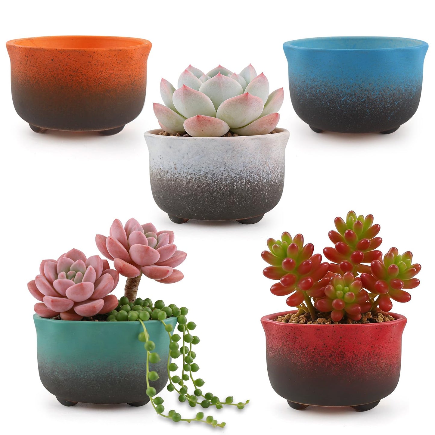 ginojex Small Ceramic Garden Pots Succulent Plant Planter Container with Drainage Set of 5 for Home Office Decor