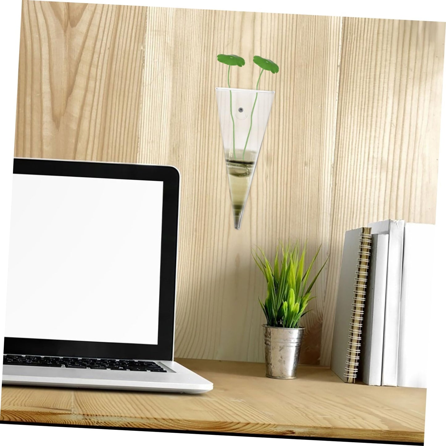 Toyvian Transparent Glass Wall Hanging Hydroponic Planter for Indoor Plants Terrarium Vase for Decor Easy to Maintain Wall Mounted Flower Holder