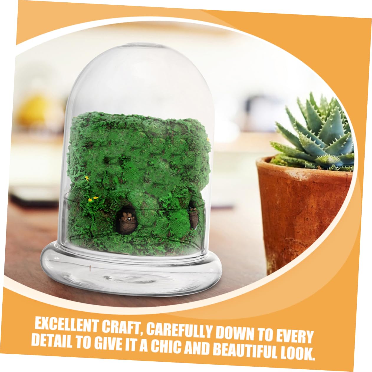 VICASKY 2pcs Glass Eco Bottle for DIY Micro Landscape Terrarium Container for Plants Decorative Desk Ornament Glass Display for Miniature Gardens