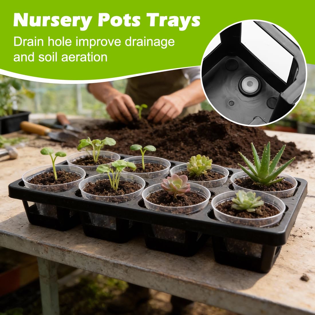 8 Cell Nursery Pot Trays 10 Pack (12"x6"x2") with 2.5 inch (6.5CM) Round Seedling Pots 80pcs (Clear), Plastic Seed Starter Tray with Removable Drain Holes for Carrying and Holding Plant Pot