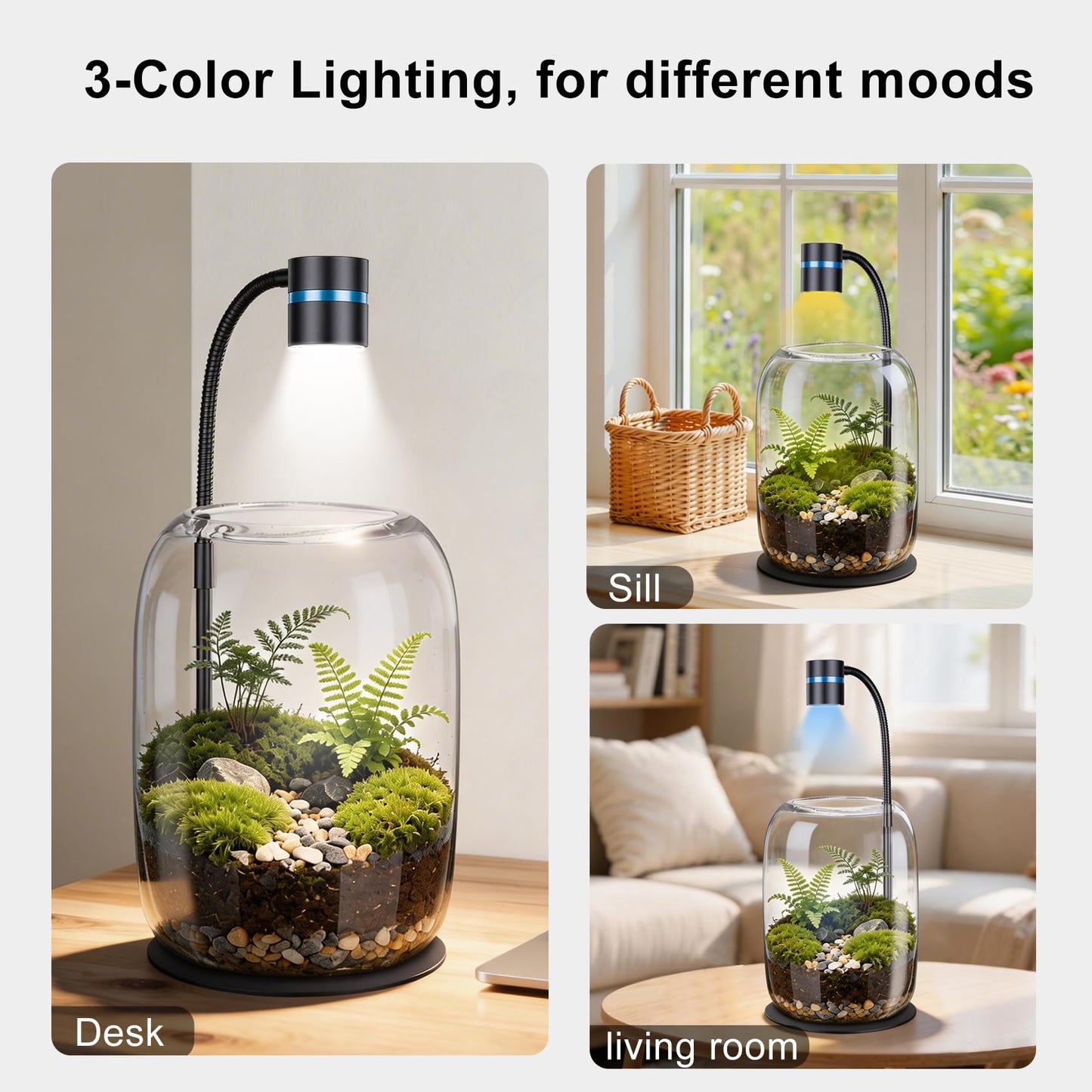 Yeeweek Glass Plant Terrarium with LED Grow Light(H:8.46" D:5.9"), Desktop Terrarium for Venus Fly Trap, Moss & Succulents, Borosilicate Indoor Planter for Home Office Decor