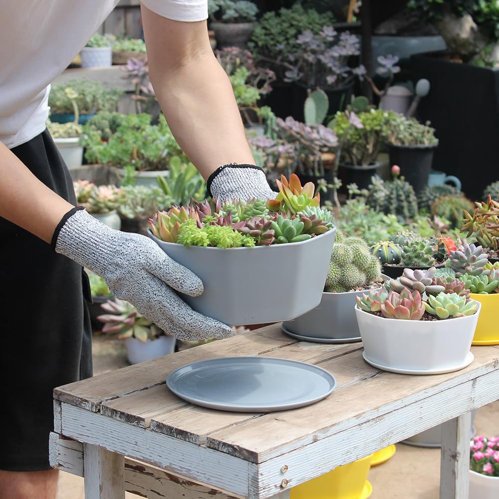 BangQiao 8 Pack 8.00 inch and 5.90 inch Gray Plastic Shallow Plant Pot, Octagon Bowl Planter Container with Pot Tray for Succulents, Cactus