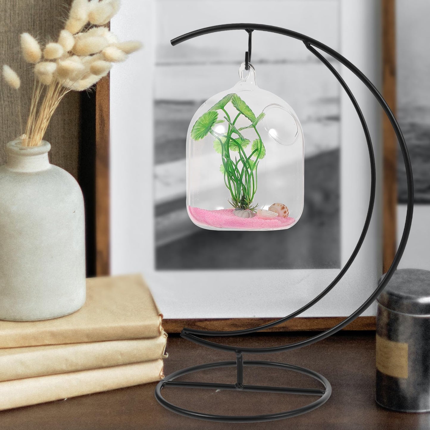 Cabilock Moon-shaped Hanging Hook Stand 2pcs Black Metal Vase Hanging Stand Terrarium Display Rack Air Plant Holder Indoor Outdoor Decorative Plant Bracket