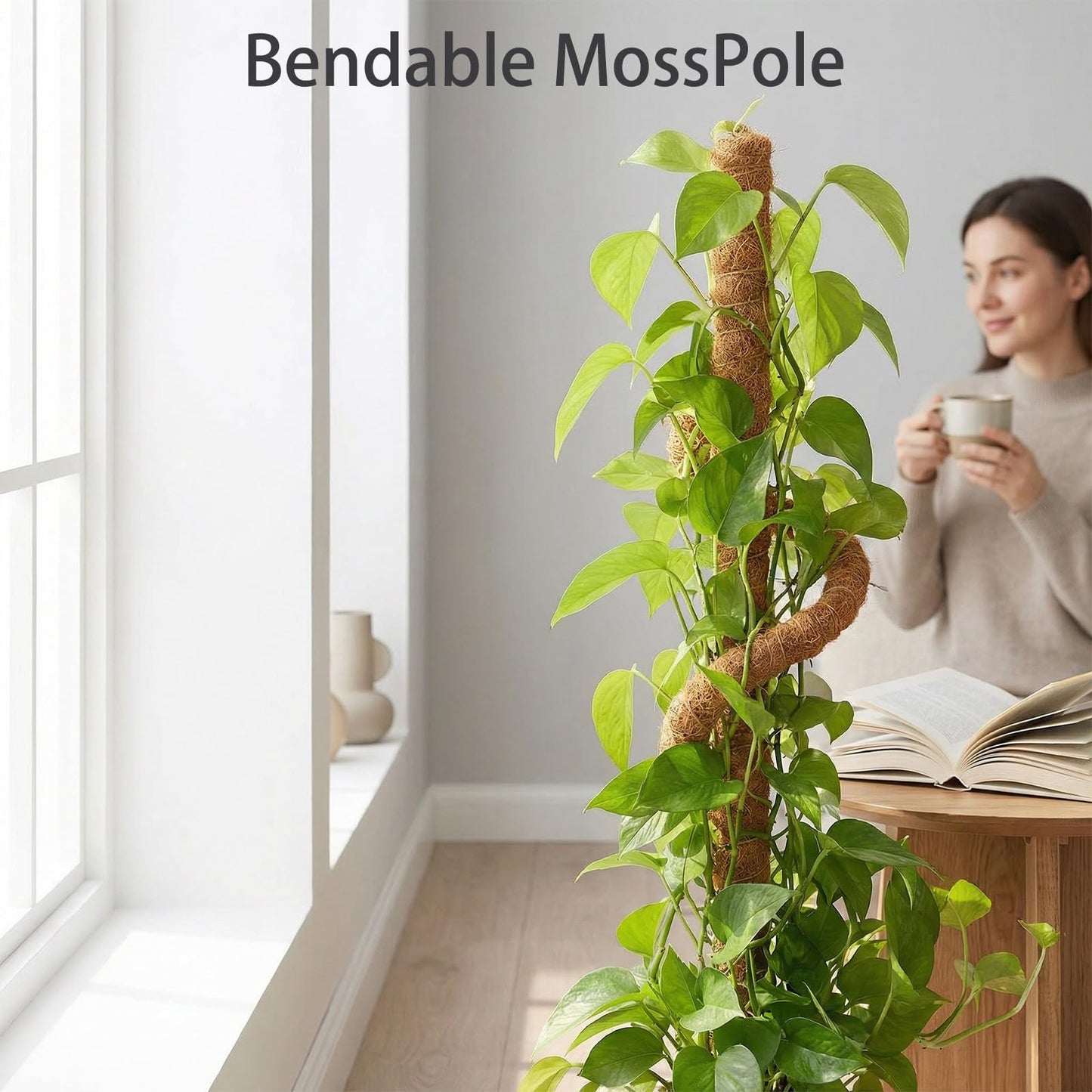 BIESTJP Monstera Plant Support,Bendable Coco Coir Pole for Monstera Plant Supports Indoor Plants, 63 inch Moss Pole Support for Climbing Plants