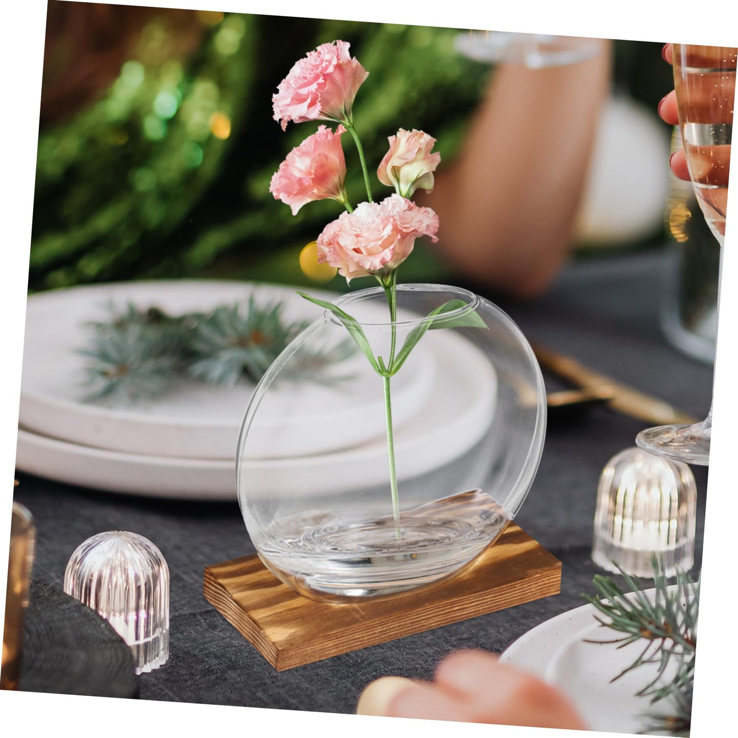 BESPORTBLE 4sets Glass Plant Terrarium Wall Garden Indoor Decorative Plant Vase for Home Decor