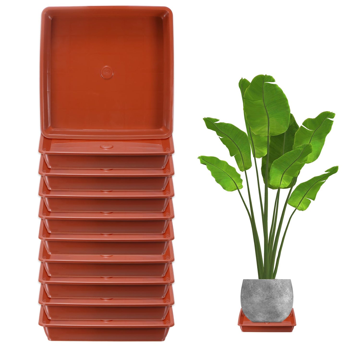 M METERXITY 10-Pack Plant Pot Saucers, 6 Inch Plastic Square Flower Drip Tray, Pot No Holes Durable Plant Trays for Pots Base Indoors/Outdoors Plants [Brick Red]