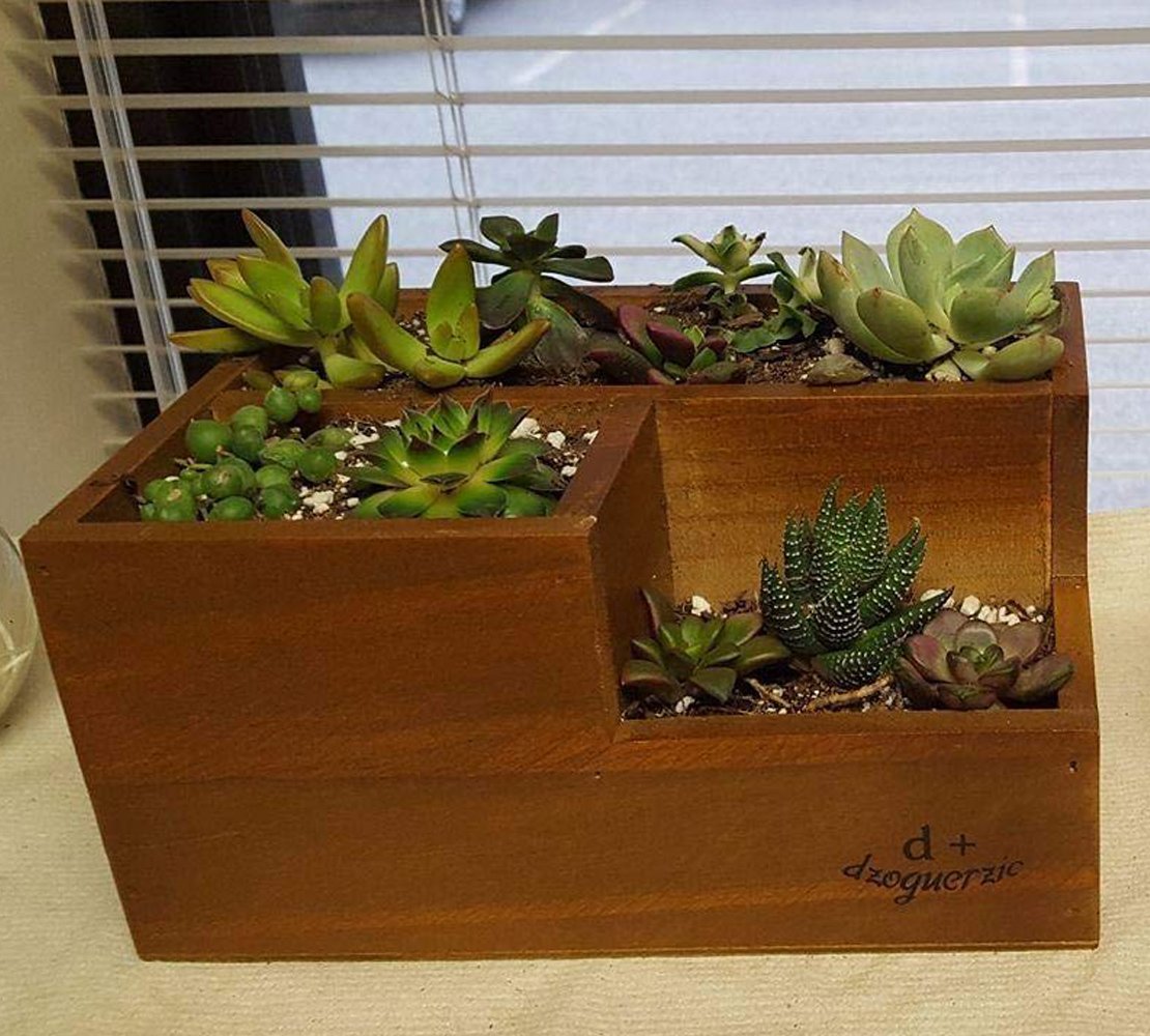 LSHCX Wooden Succulent Flower Planter Box Desk Organizer Pencil Holder