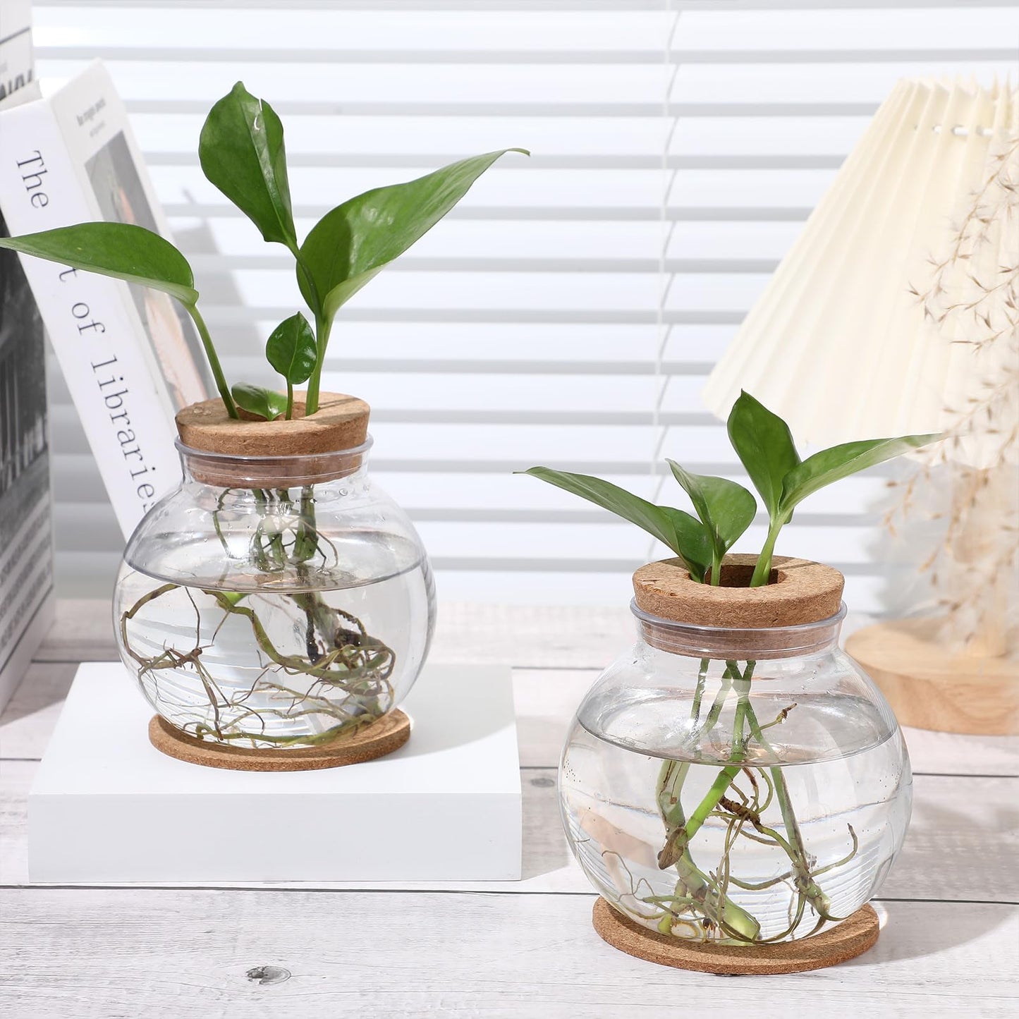 Baderke 12 Packs Propagation Vases for Plants Plastic Plant Propagation Station with Hole Lid and Cork Coasters Plant Growing in Water Hydroponic Home Office Table Decoration(Fish Bowl Style)
