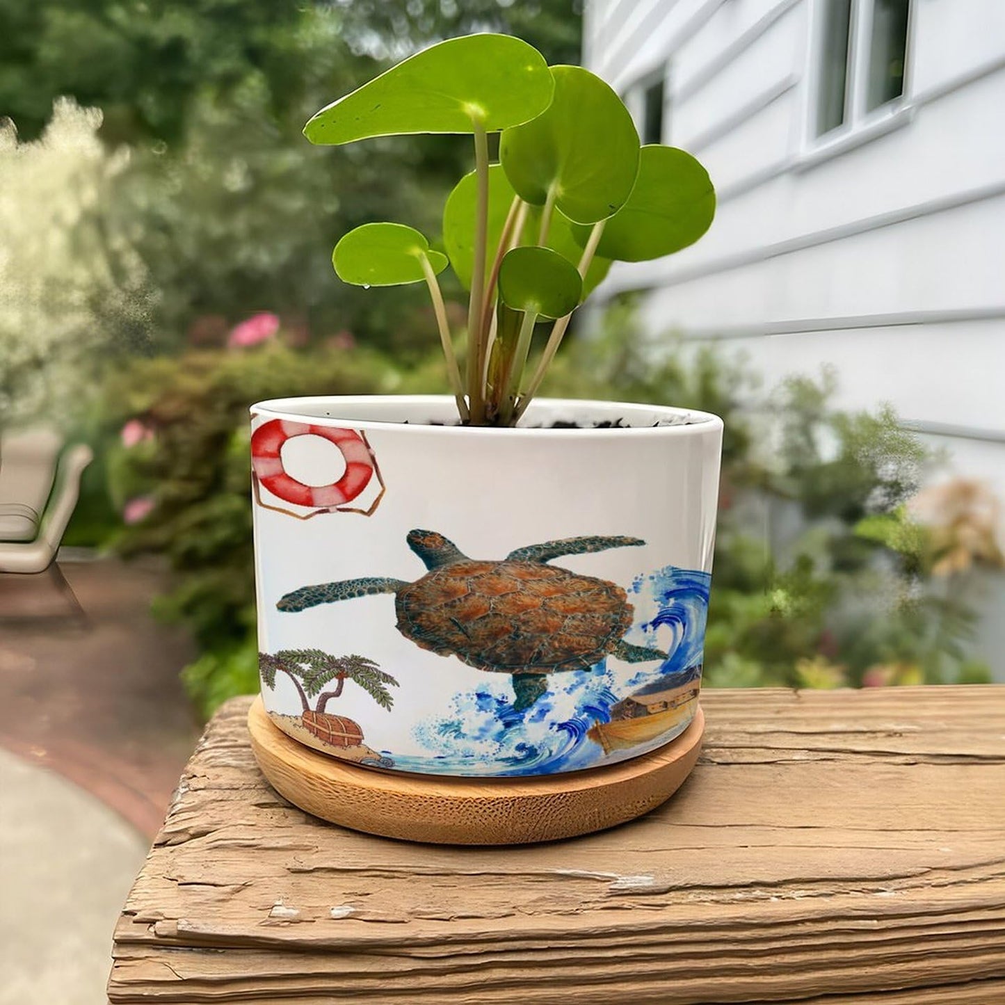 DreamAutumn Ocean Theme Sea Turtle Ceramic Planters Ceramic Pots with Saucers Orchid Pots for Plants Succulents Pots Office Desk Garden Balconys New Home Decor,Gifts for Mom Mother Grandmother