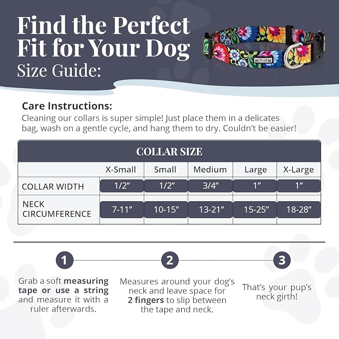 Lucky Love Dog - Easy Click Buckle Dog Collar with Leash Set Combo, Durable & Comfortable for Male & Female Dogs, Pet Collar for Medium Dogs, Secure Fit - Bailey Combo, Medium