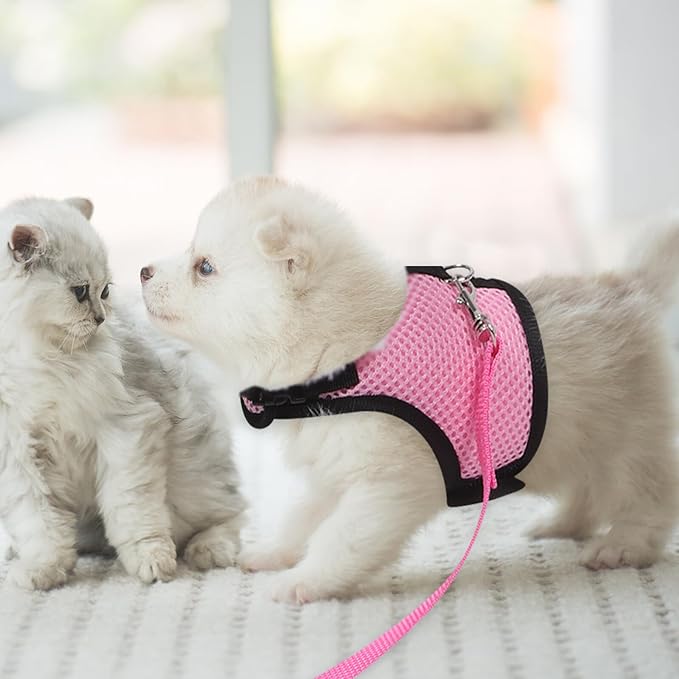 YARNOW 2pcs Adjustable Small Pet Harness Leash Set for Rabbits and Guinea Pigs – Breathable Mesh Vest, Medium Size, Outdoor Walking and Training Safety Gear