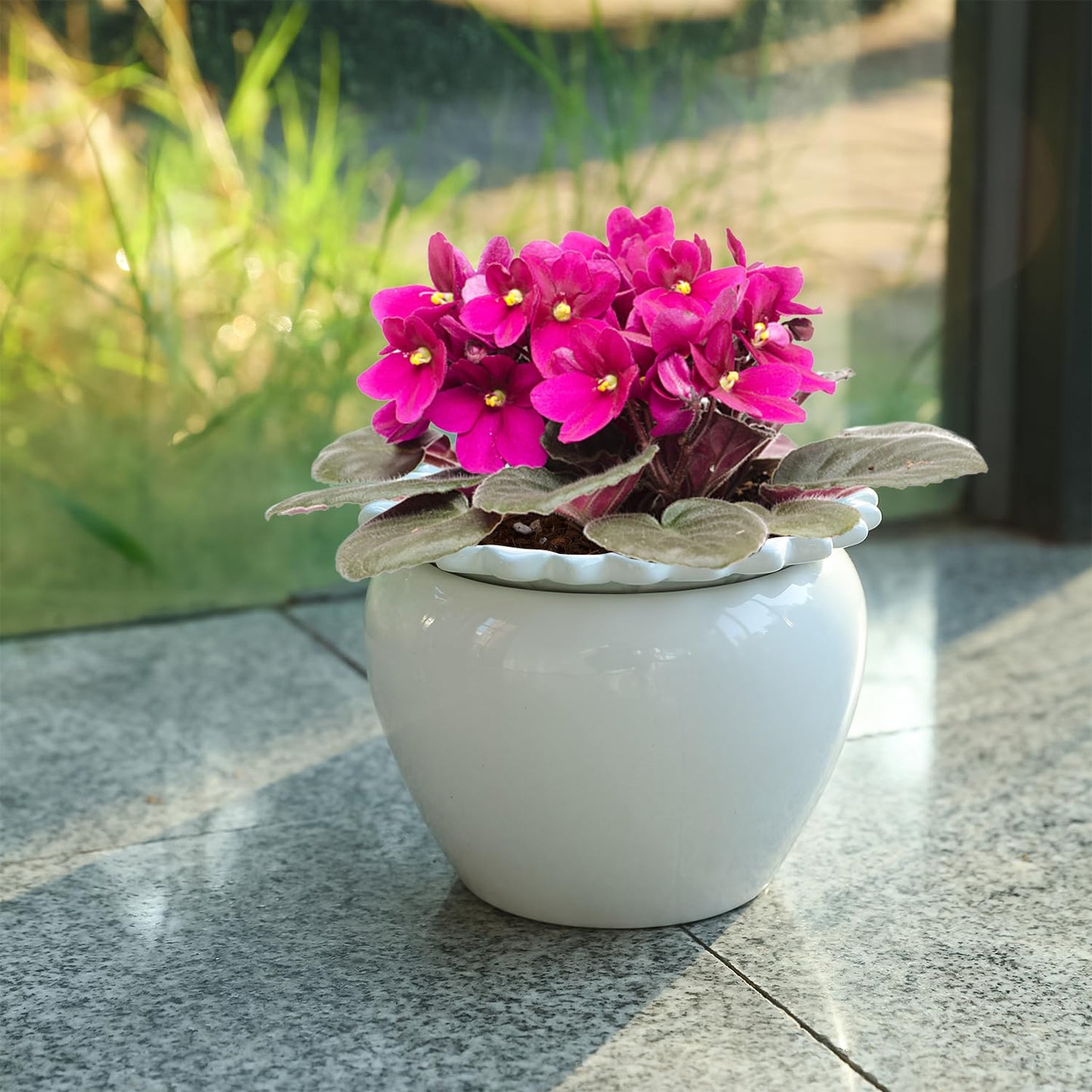Lovely Ran African Violet Flower Pot Ceramic Self Watering Flower Pot 6.5 * 4.6 * 4 inch Simple Plant Self Watering Pot Indoor Flowers High Absorption Herbaceous Flower Pots Modern Decor Pots