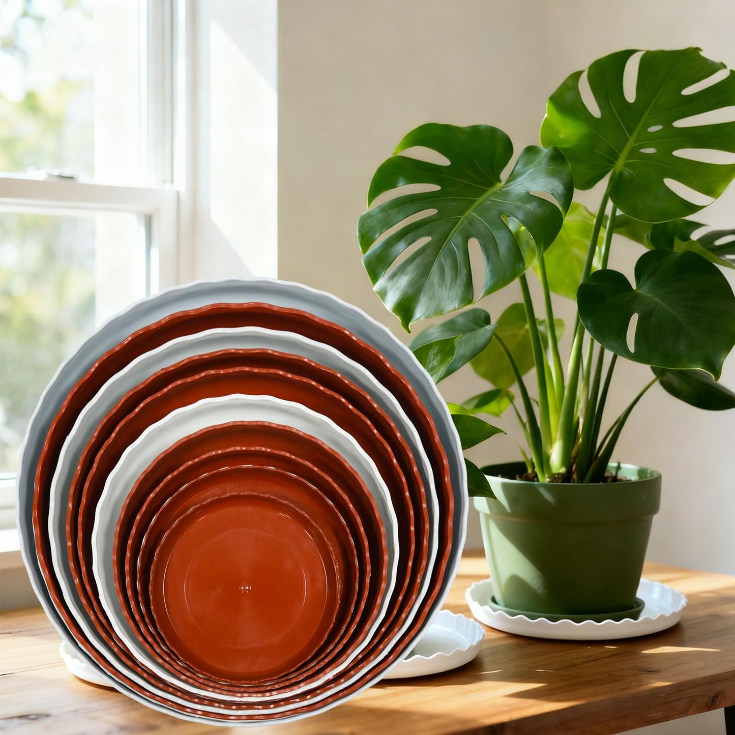 JAKOUE 4 Size Wave Shaped Round Plant Saucer,6 Pack Pant Pot Trays, Plant Saucers for Indoors and Outdoors, Seed Starting Tray, Growing Trays,White（4",5",6",8"）