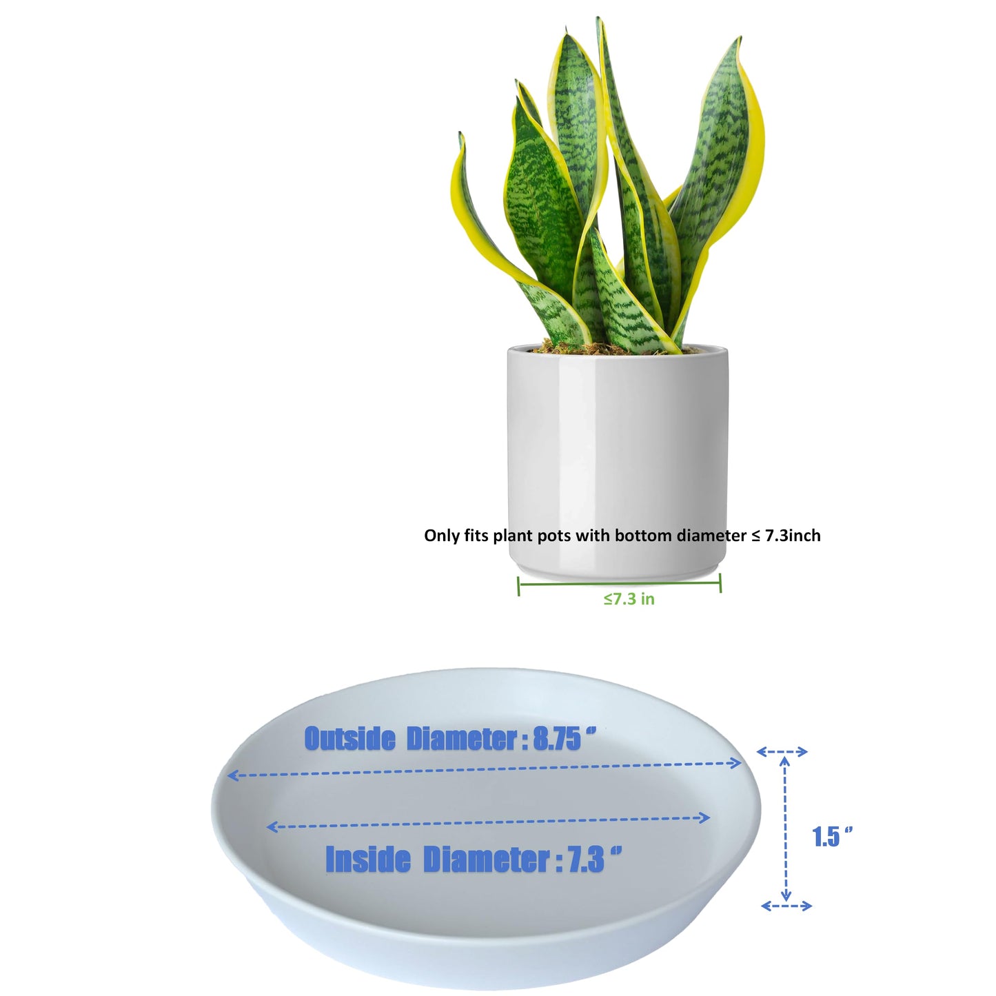 Plant Saucer 8 Inch, 2 Pack Large Plant Saucers Ceramic Tray 8 inch (7.3" Inner) for Flower Pot, Classic Sturdy Planter Water Catcher Tray for Plant Base,White