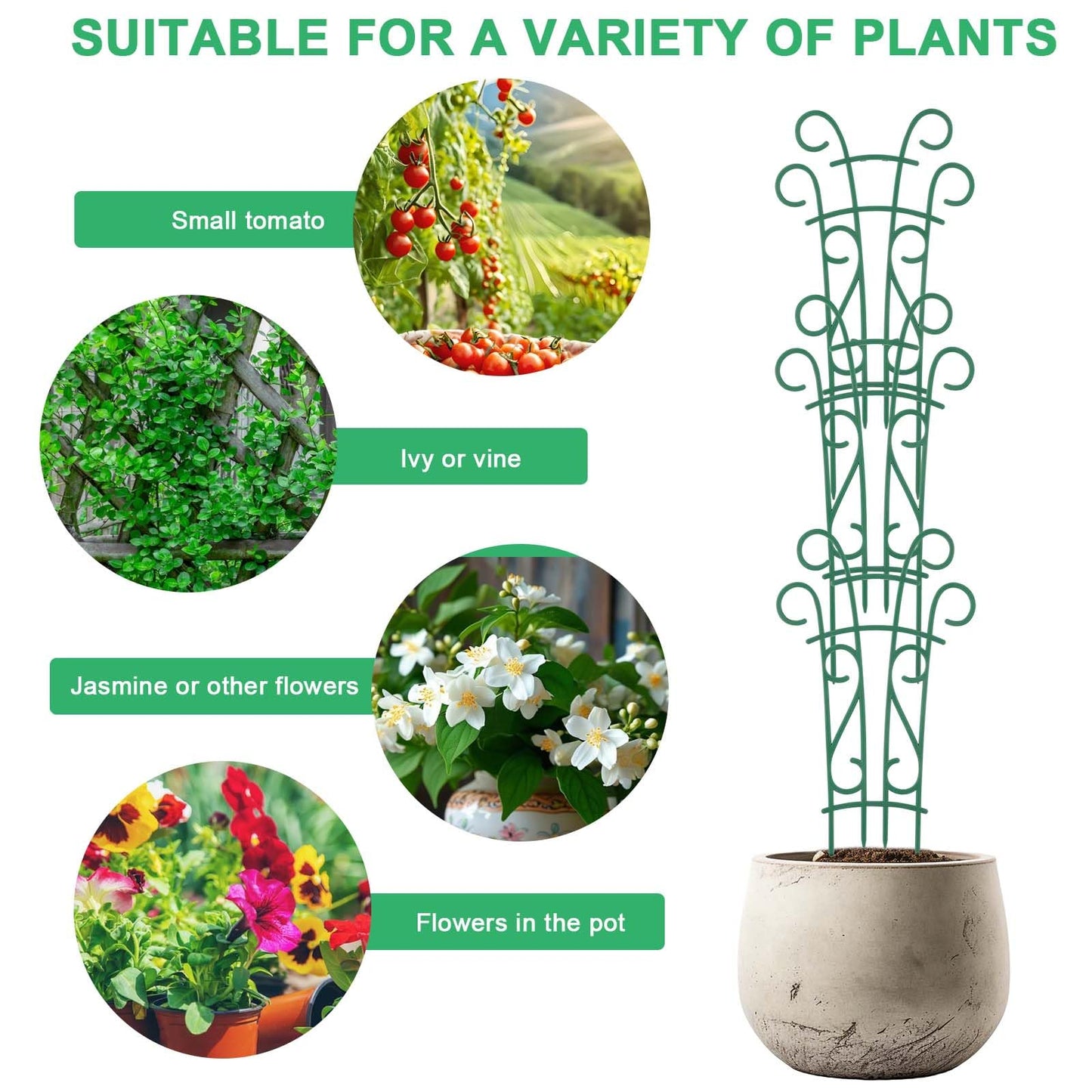 Qaobo Indoor Plant Trellis for Climbing Plants, 8 Pack Garden Trellis for Potted Plants Stackable Plant Trellis Plant Stakes for Indoor Plants Accessories Flower Plant Support