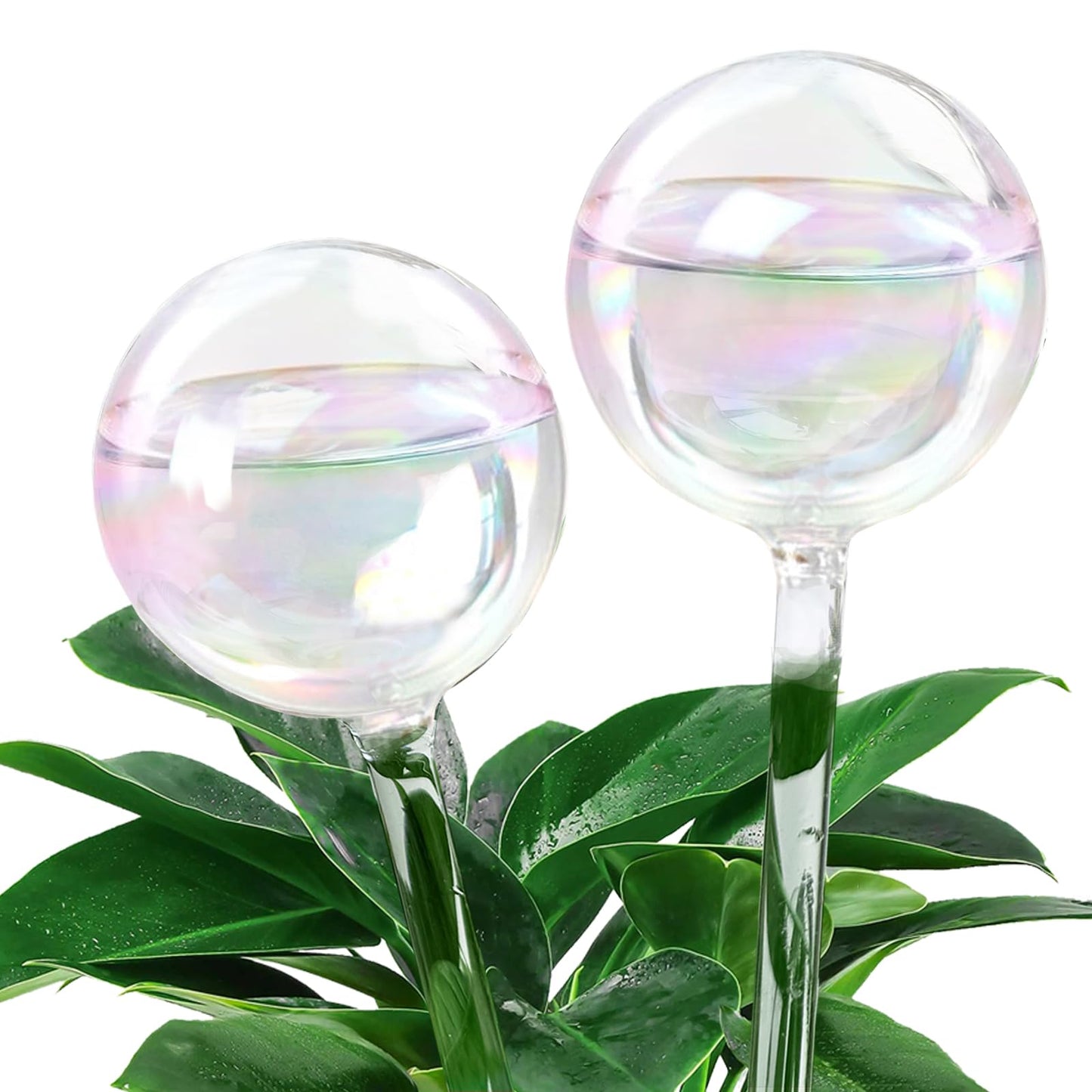 MOONSOUND Plant Watering Globes, 2pcs Plant Automatic Water Bulbs Flower Self Feeder Balls Irrigation Device Auto Waterer Planter Insert Stakes for Indoor Outdoor Garden Potted While Away on Vacation