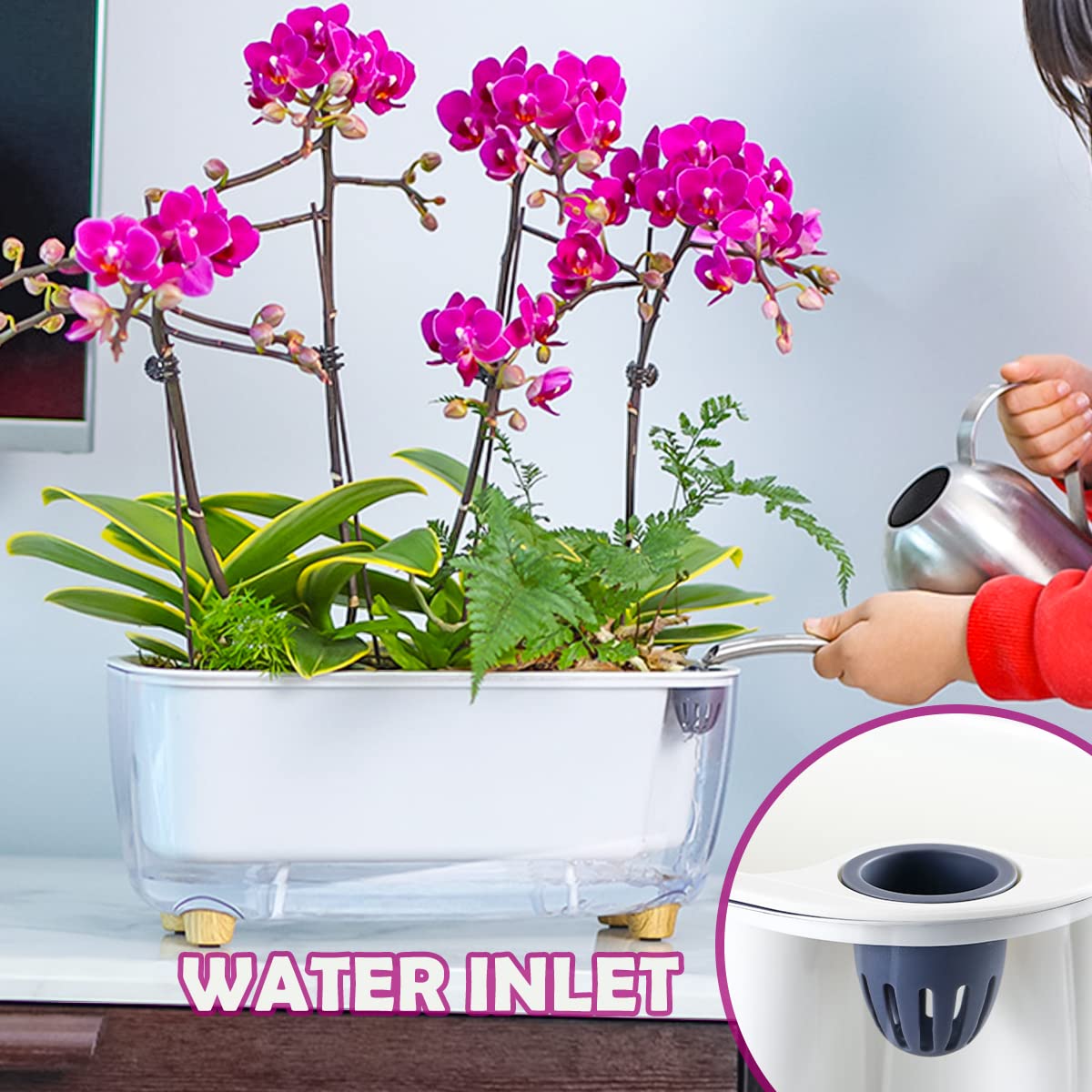 5 Pack Rectangular Planter 11.8 x 4.6 in Self Watering Planter Window Sill Planters Indoor Rectangle Planter Self Watering Pots Plastic Plant pots for African Violet Flower Orchid (Clear, 5)