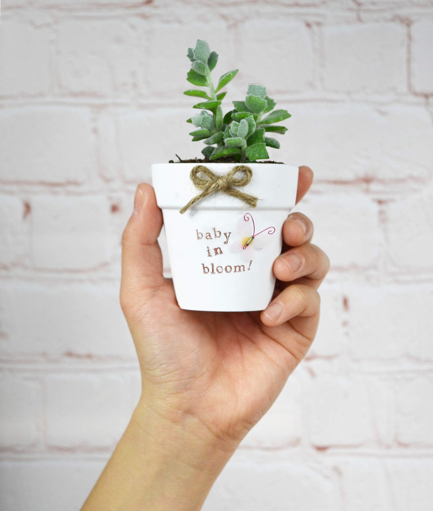 40 Pcs White Terracotta Pot - 2.5 Inch Mini Clay Pots with Drainage Holes Flower Nursery Terra Cotta Pots for Succulent Plants, Crafts, Wedding Baby Shower Favor