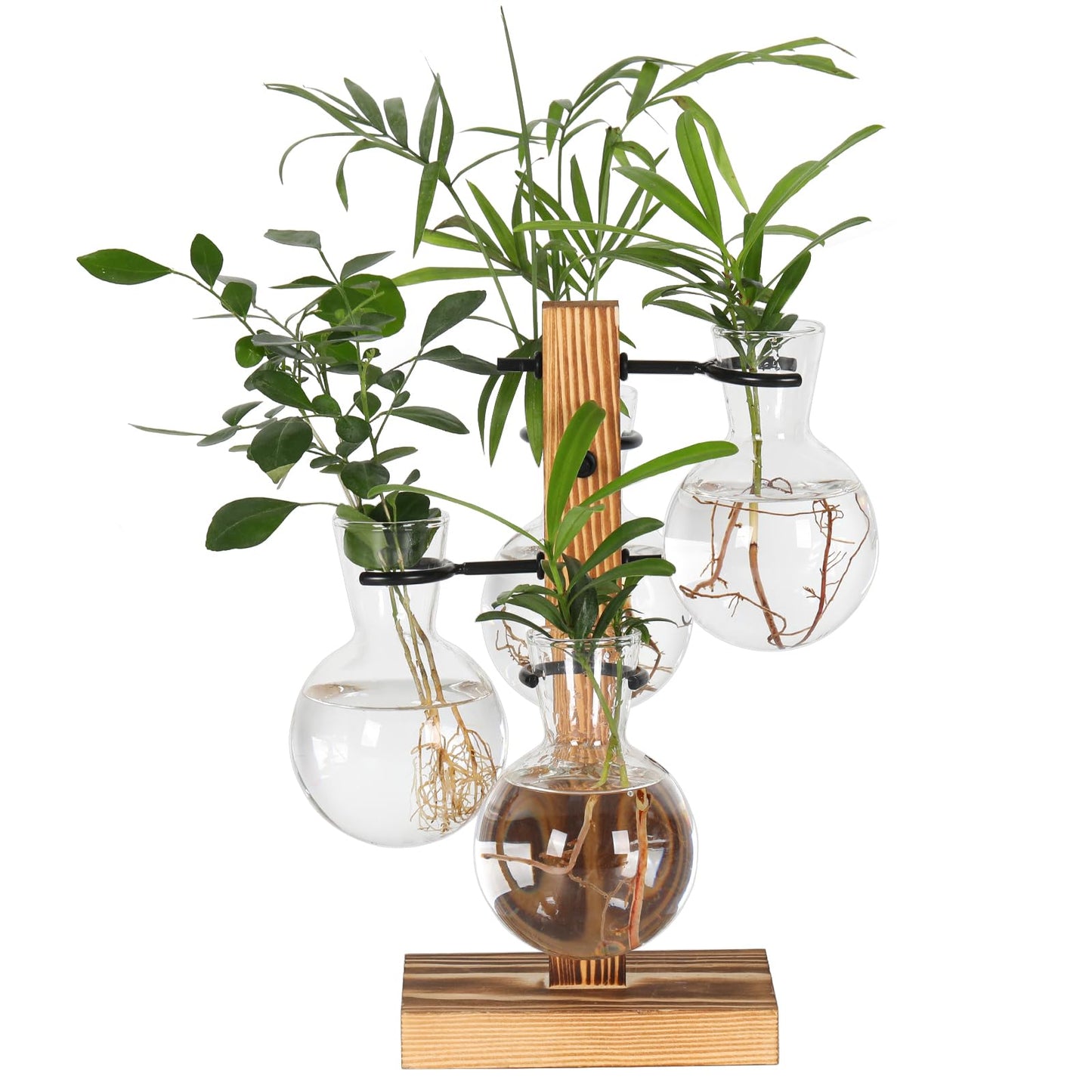 PAG-Mass Plant Propagation Station with 4 Glass Vases & Wood Stand, Hydroponic Air Planter for Indoor Plants, Unique Gardening Gift for Women & Plant Lovers, Desktop Terrarium for Home Decor