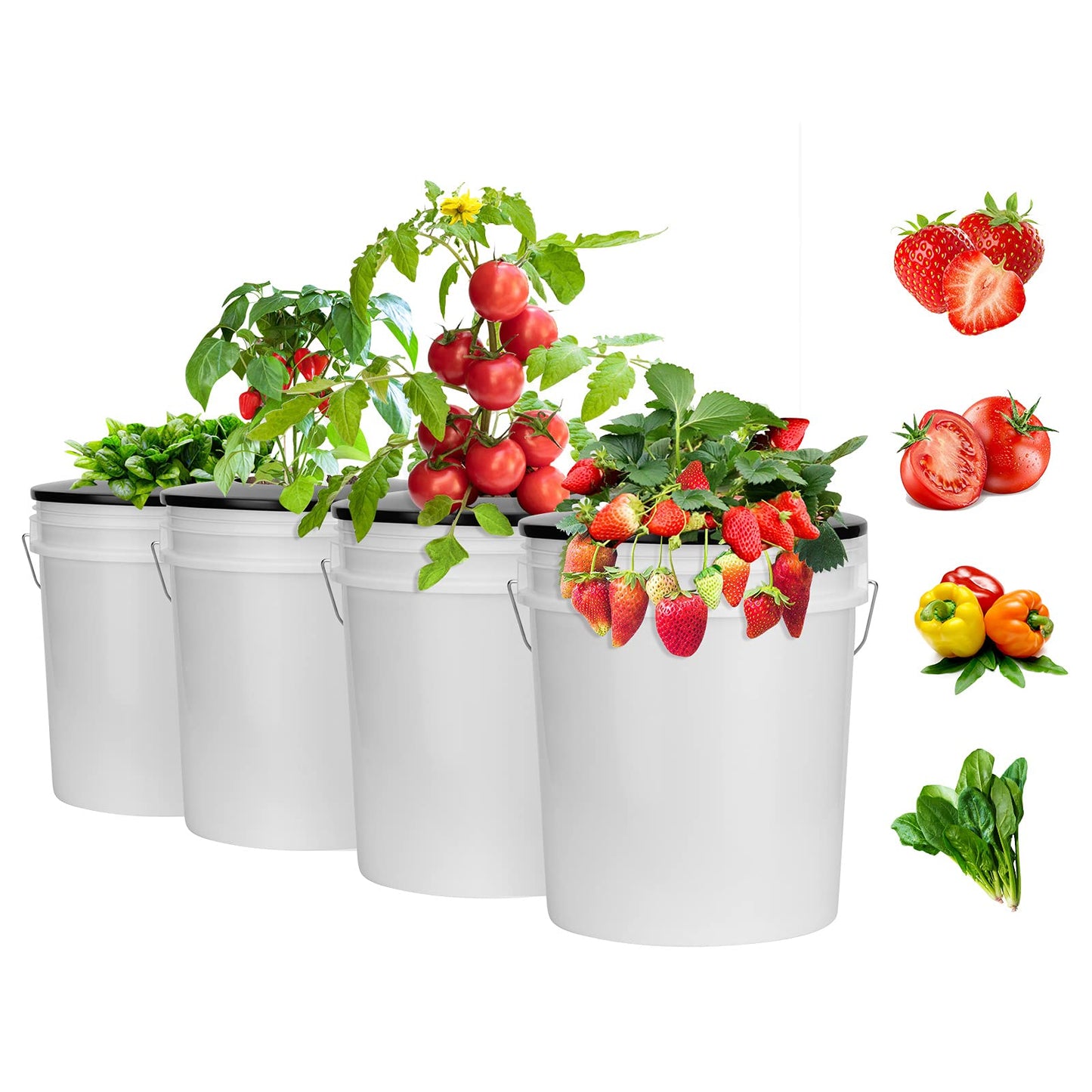 Tectsia 6 Inch Net Pots for 5 Gallon Bucket Wide Lids (5 Pack), Net Cups for Hydroponics Bucket Lids, BPA-Free, DWC Basket Lids for 5 and 3.5 Gallon Bucket