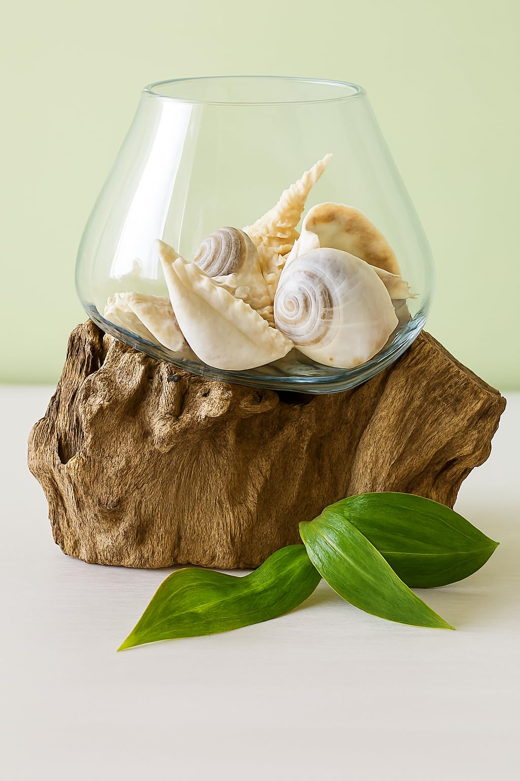 OMA Molten Glass on Driftwood – Hand-Blown Melted Glass Vase, Terrarium, or Planter for Coastal & Boho Home Décor (6"–7" High)