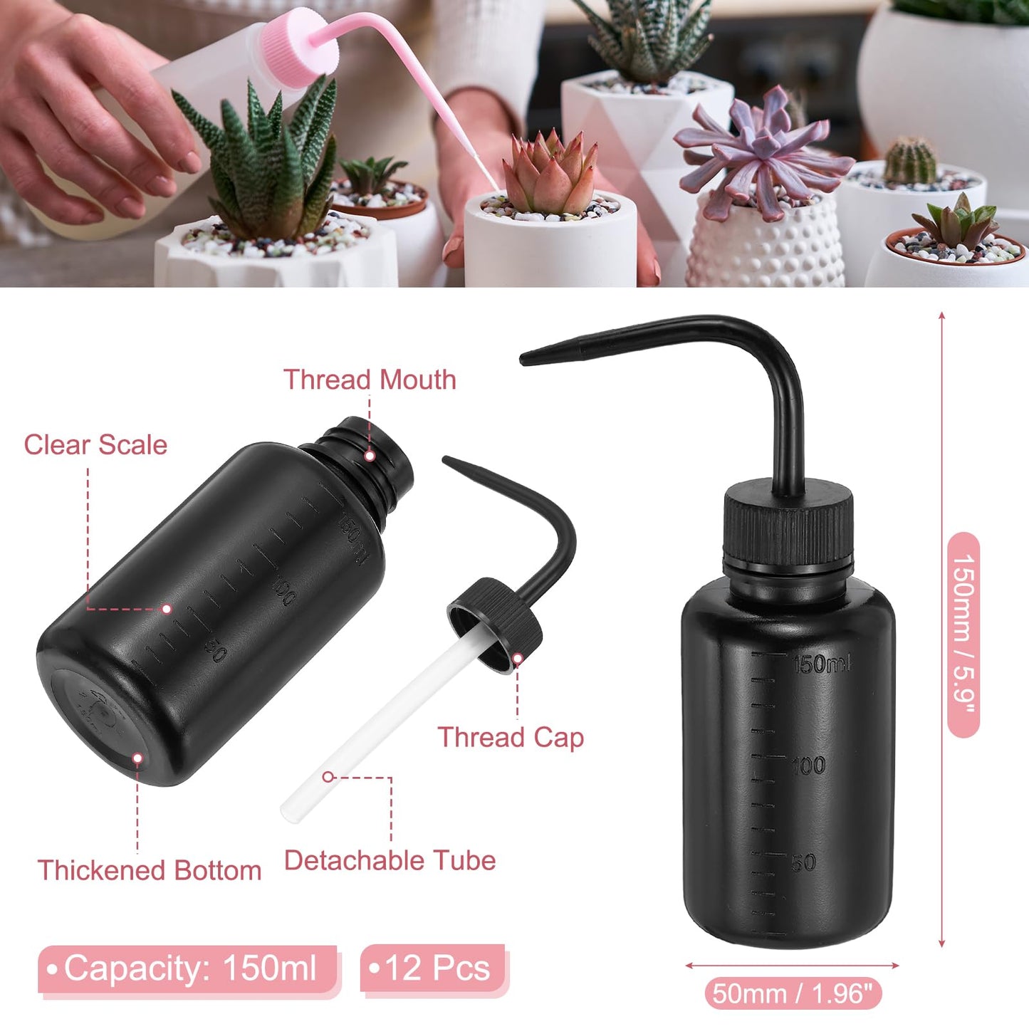 PATIKIL 12 Pcs Wash Bottle, 150ml 5oz Plastic Succulent Watering Bottle Eyelash Tattoo Rinse Washing for Plant Eyelash Extensions Irrigation Lab RV Gap Cleaning, Black