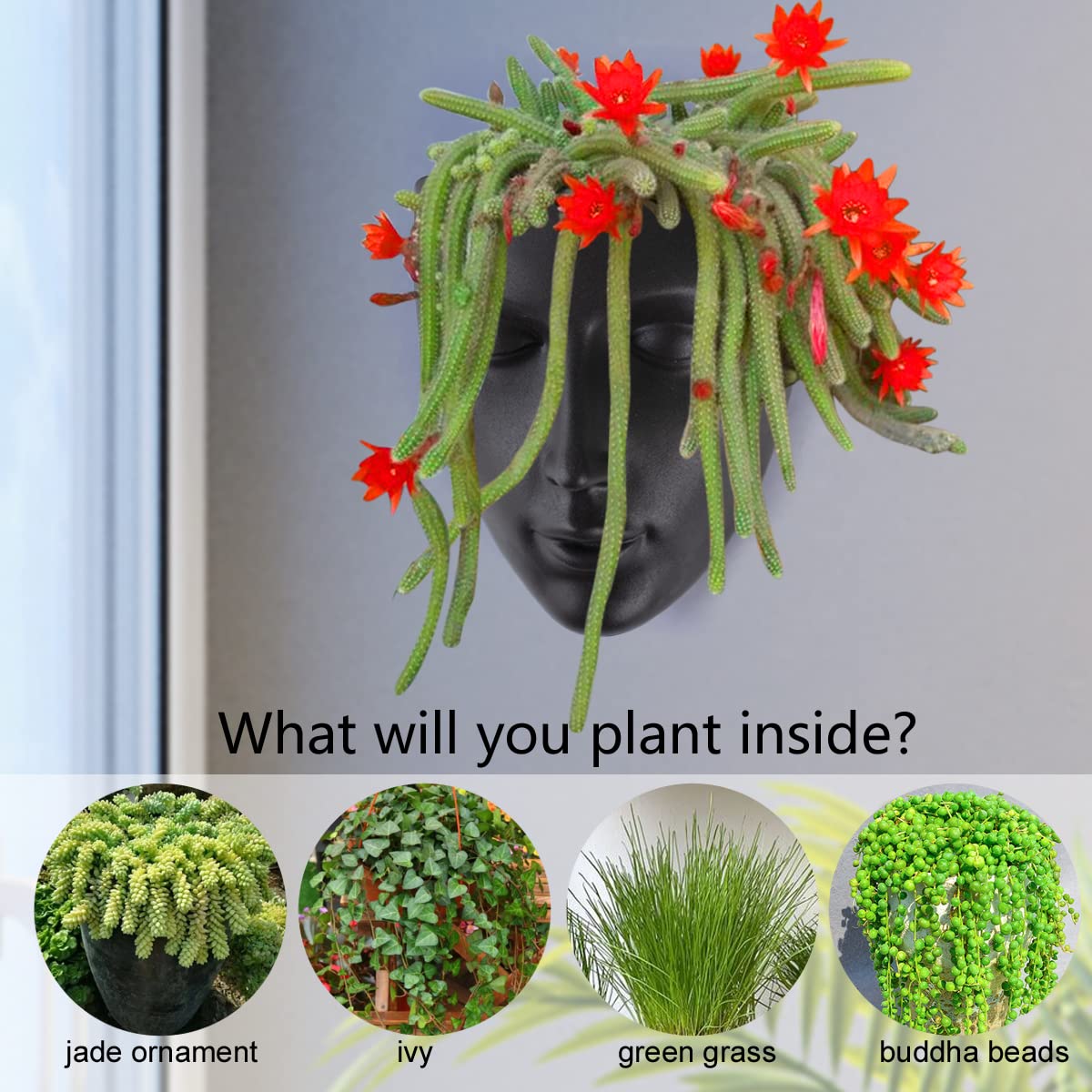 Notakia Face Planter Pot Wall Mounted Outdoor/Indoor Planter with Drainage for Succulents, Cactus, and Small Plants Unique Home Decor Gift for Friends and Family (Black)