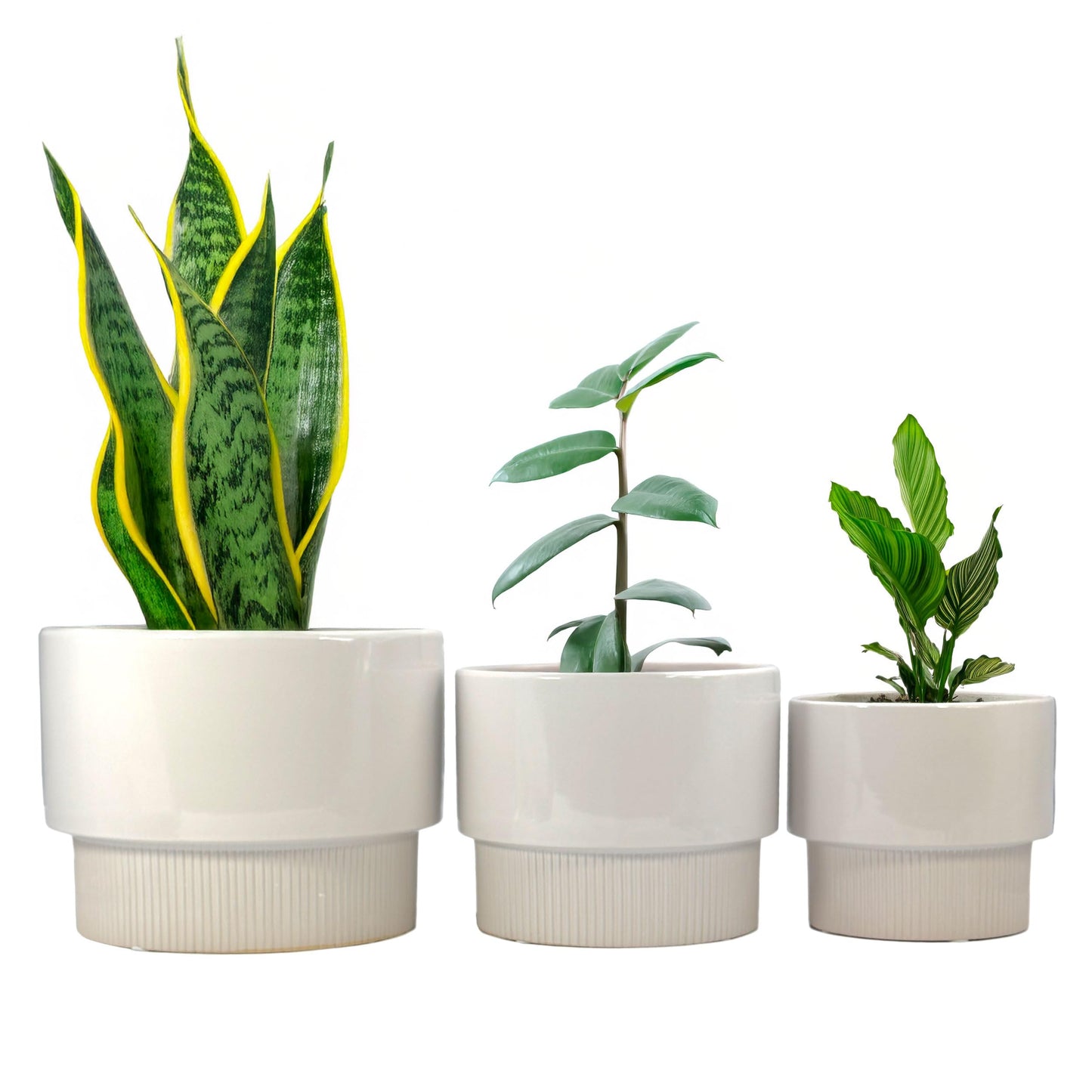 Galt International Set of 3 (8", 10", 12") Mid Century Modern Off White Flat Ribbed Ceramic Planter Pots Flower Pot Indoor House Plants Decor w/Drainage Hole & Plug