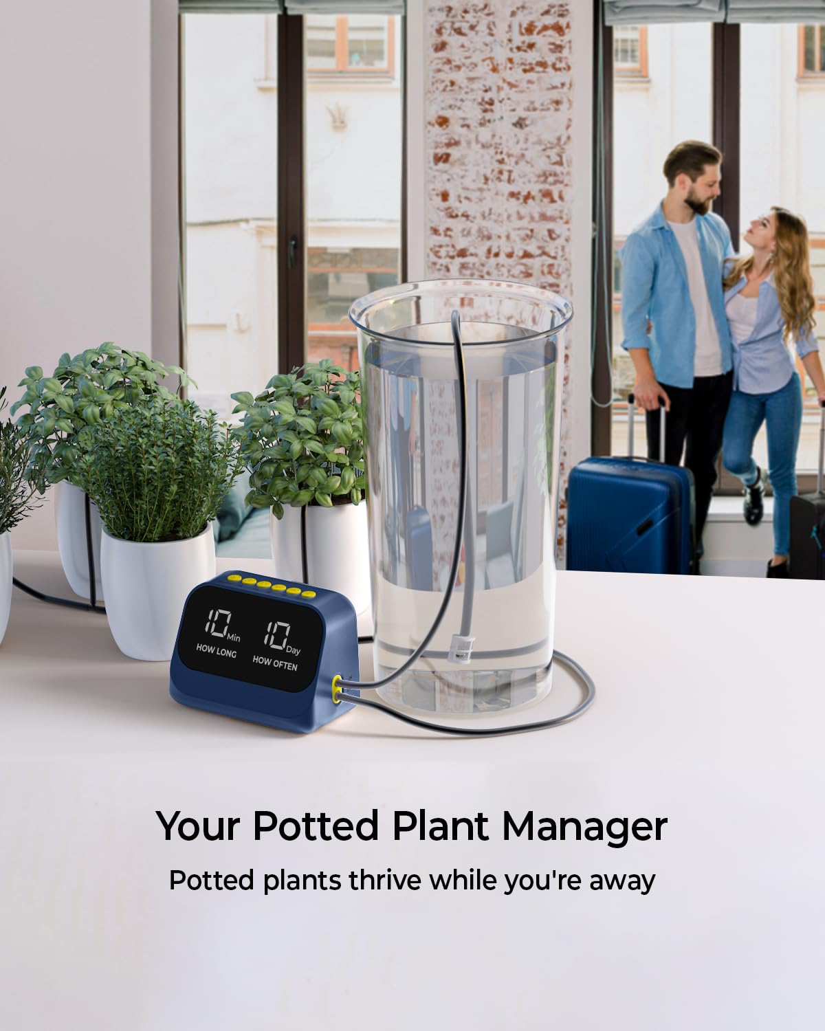 Automatic Watering System for Potted Plants, Plant Waterer, DIY Drip Irrigation Kit with Smart Timer, Waterproof LED Display & Large Capacity Battery, Precise Distribution of Water (Blue)