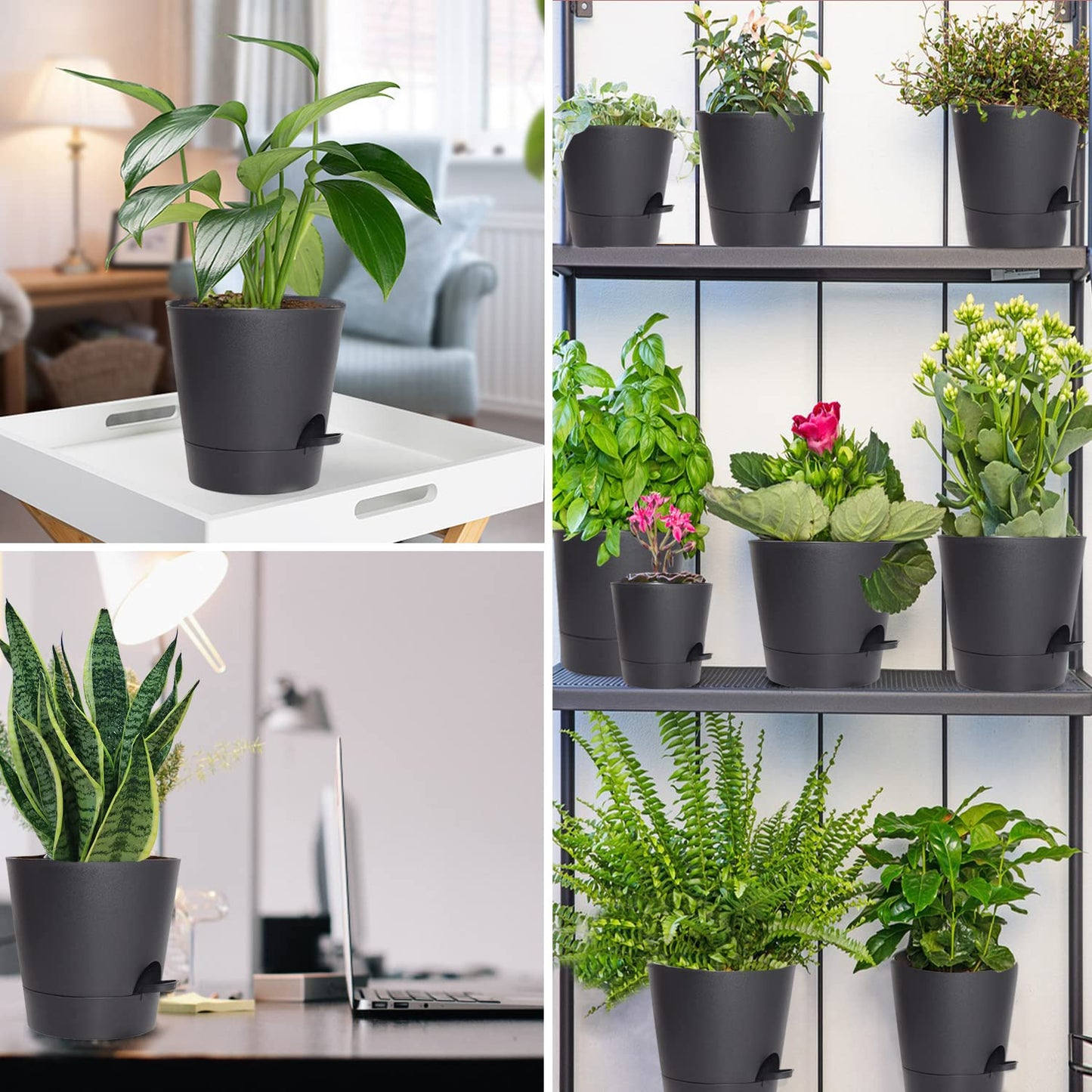 Self Watering Pots for Indoor - 8/7/6.5/6/5.5/5 Inch Self Watering Planters for Indoor Plants with Deep Saucer Reservoir & Drainage Holes Plastic Flower Pots for House Plants or Flower (Black)