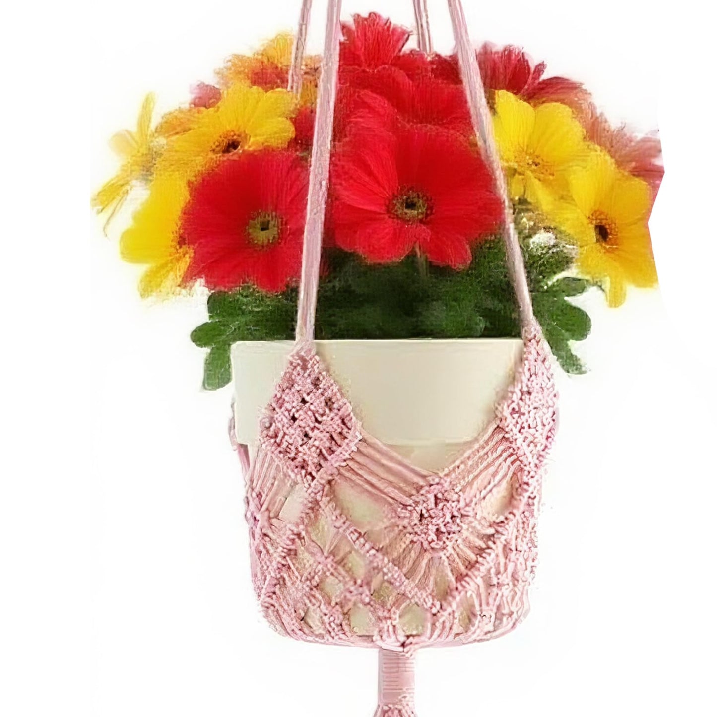 verkelly 2 Pack Macrame Hanging Planters with Patterns - Stylish Plant Hangers Crochet Boho Plant Holder Hanging Plant Basket for Up to 6 Inch Pots(Pink)