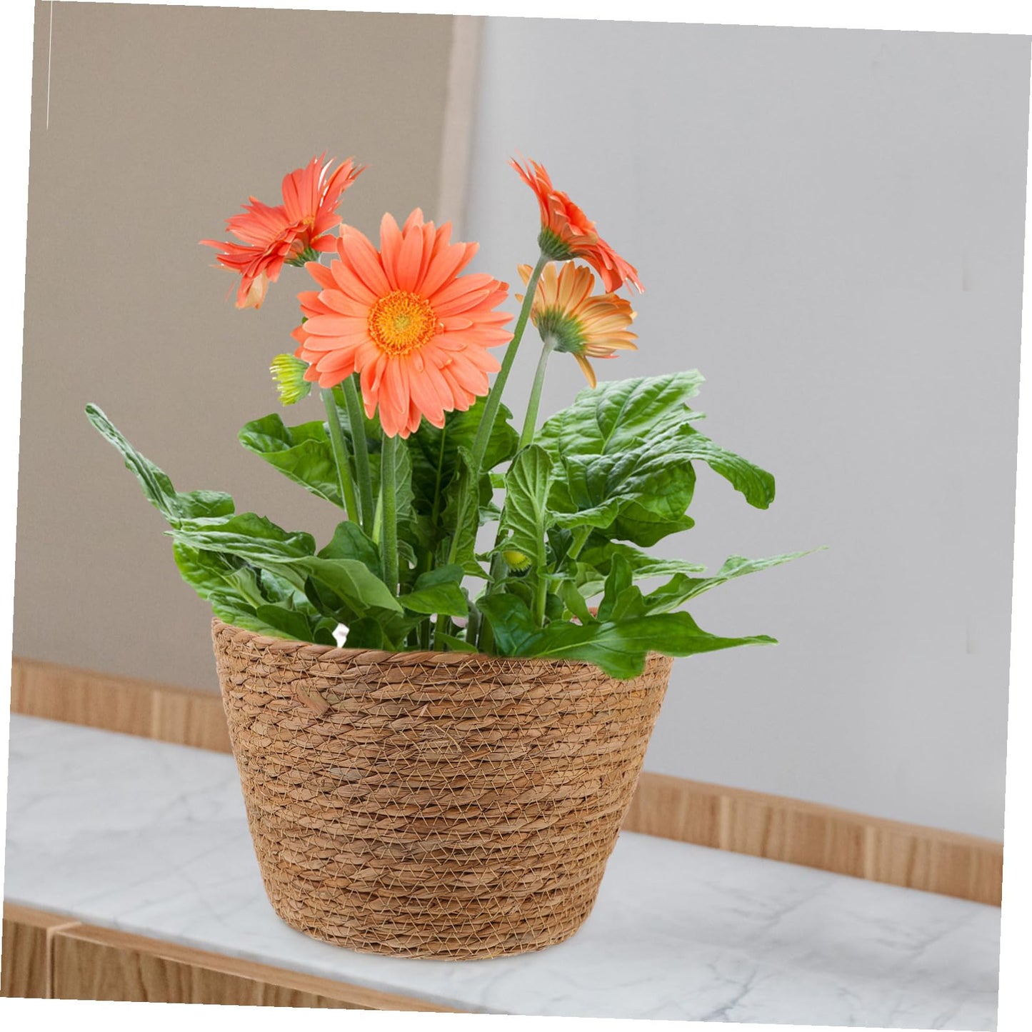 BESPORTBLE 2Pcs Wicker Planter Basket Straw Woven Flower Basket for Indoor Outdoor Plant Storage Decorative Rustic Home Garden Use 9X9X6.5 Inch
