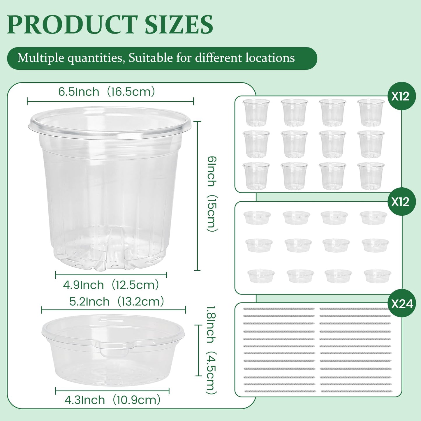 Bluepro 12 Pack 6.5 Inch Clear Self Watering Plant Pots with Bottom Water Tray & Watering Rope, Transparent Nursery Pots with Drainage for Seedlings, Herbs, and Houseplants