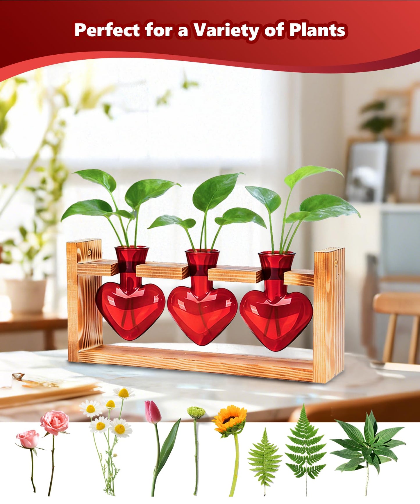 Nacome Plant Terrarium Propagation Stations: Mothers Day Gifts for Mom Plant Lovers Women Wife Daughter - 3 Bulb Glass Vase with Wooden Stand Tabletop for Hydroponics Garden Home Wall Decor(Red)