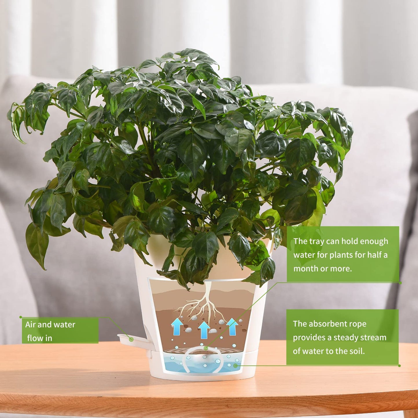 Qaobo Plant Pots 6 PCS 5 inch Self Watering Planters High Drainage Flowers Pot for Indoor Outdoor Plants with Reservoir Tray and Watering Lip Gardening Planter Garden Flower Pots, White
