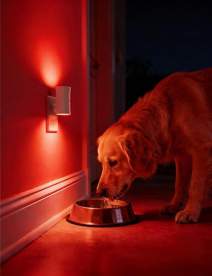 fesnne Night Light, Night Lights Plug into Wall [2 Pack], 0-100LM Adjustable Brightness Light Sensor Nightlights Plug in Wall for Hallway, Bathroom, Adults, Red Led Nightlight