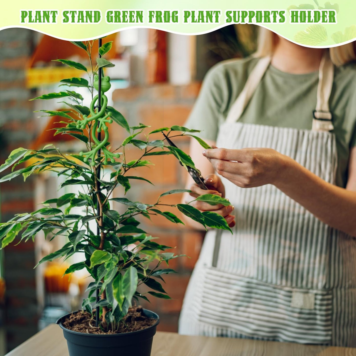 36 Pcs Frog Planter Hugger Frog Plant Stand Holder Bulk Green Frogs Plant Flower Pot Hugger Climbing Fixture Clip Plants Propagation Buddy Cute Support for Climbing Plants Indoor Outdoor Garden