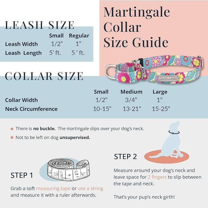 Lucky Love Dog Martingale Collar and Leash Set, Premium No Slip Martingale Collar for Small Boy Dogs, Great for Whippets, Greyhounds, and More (Small, Blue Laguna - Combo)